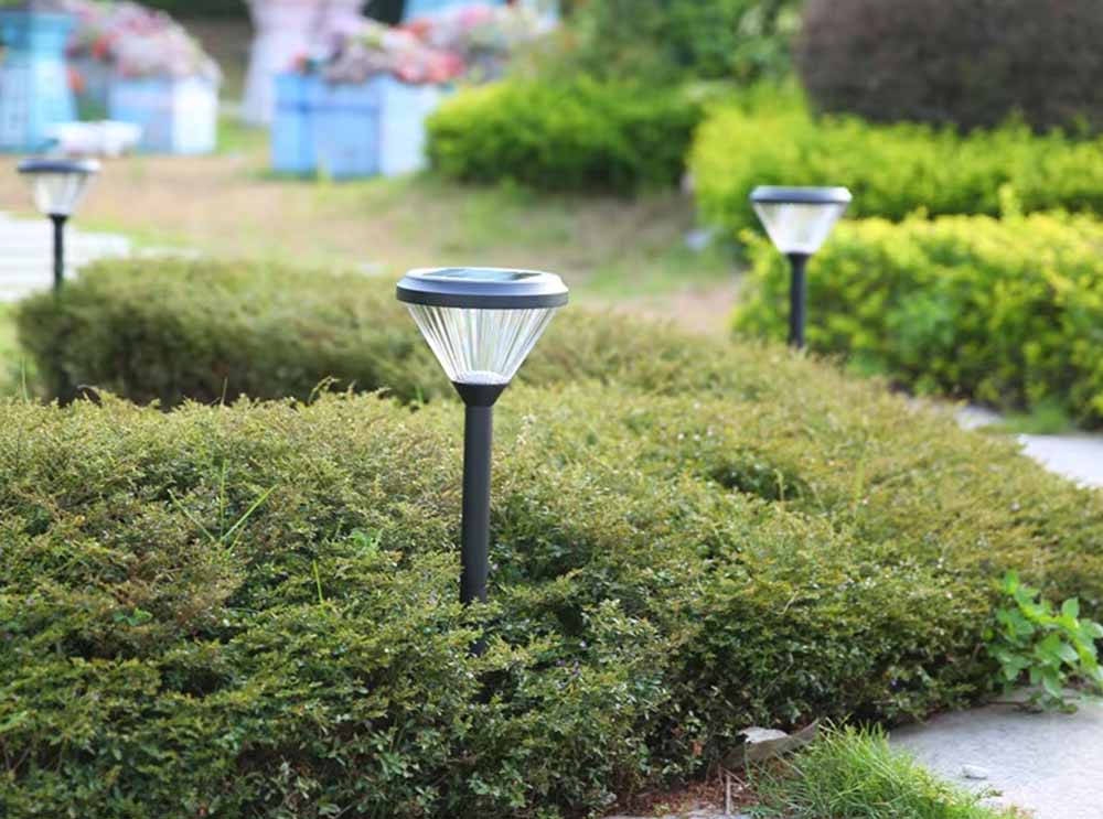 Solar Spike Garden Lights