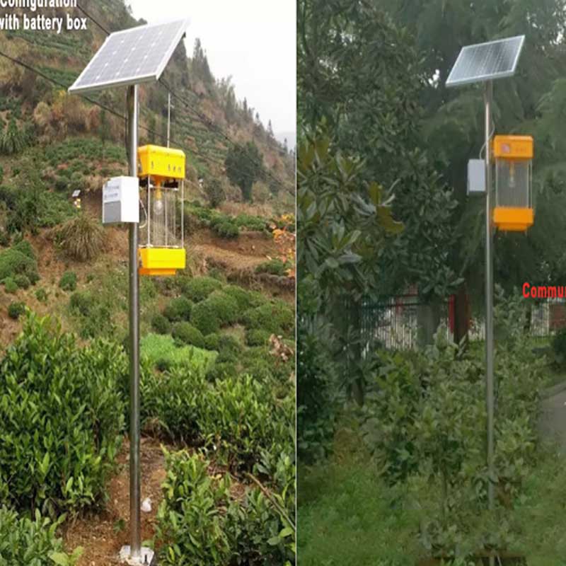 solar mosquito killer lamp