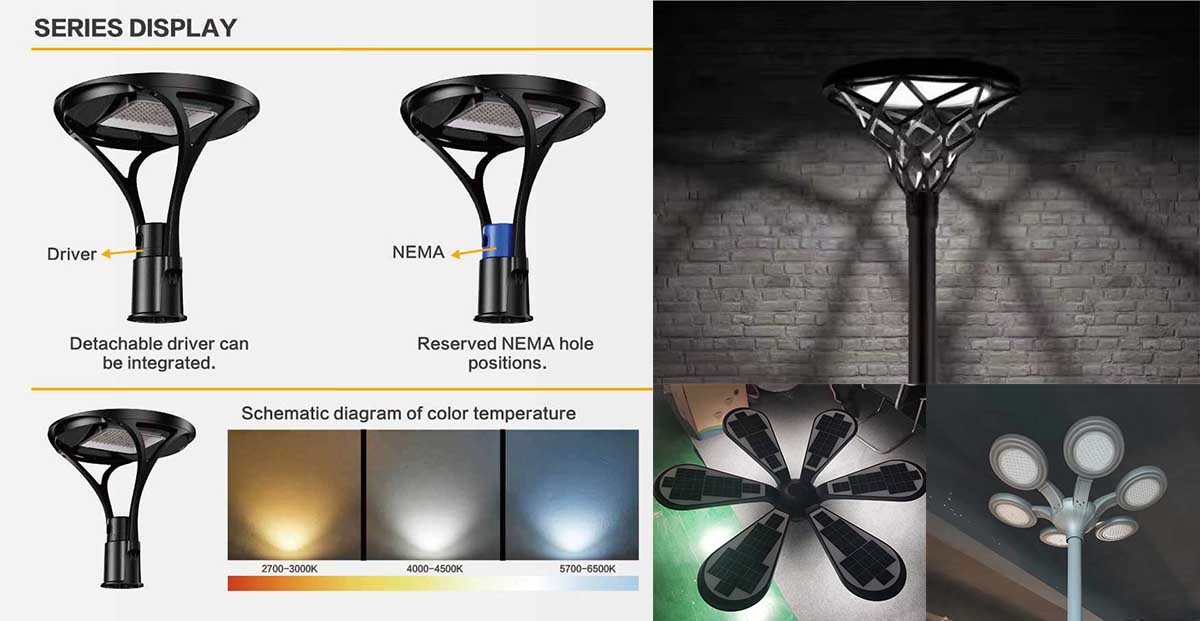 Cost-Effectiveness & After-Sales Support