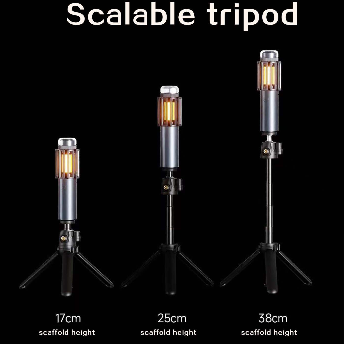 2-in-1 Bug Zapper & Portable Mosquito Killer Combo