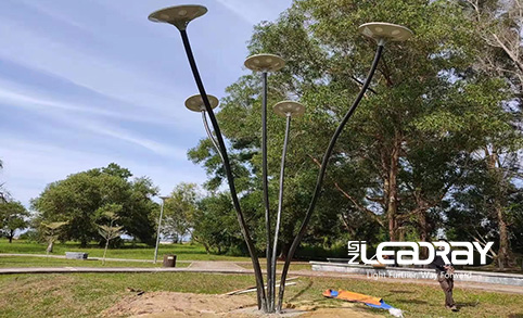 أشاد العملاء بمصباح الحديقة الشمسية LED 30w من Leadray بعد تثبيته في الحديقة